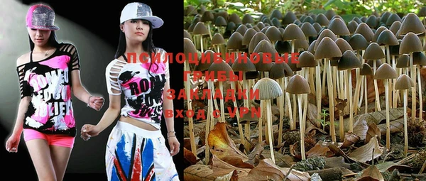 PSILOCYBIN Алексеевка