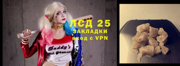 ГАЛЛЮЦИНОГЕННЫЕ ГРИБЫ Абаза