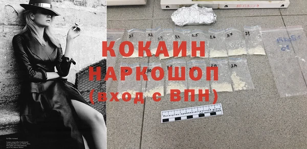 твердый Новодвинск