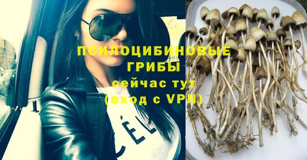 винт Абинск