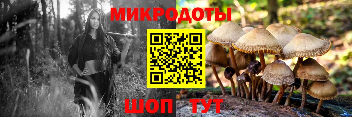 Галлюциногенные грибы мухоморы  Галлюциногенные грибы Psilocybe  Чита  купить наркотики цена  Вход с VPN 